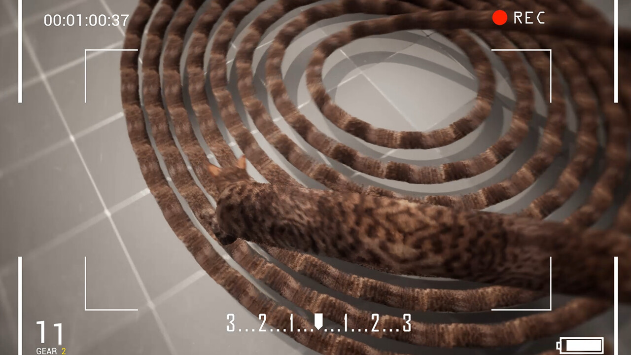 Cat Drift
