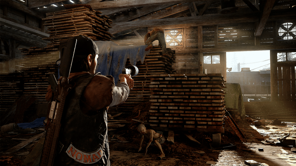 Days Gone: Special Edition