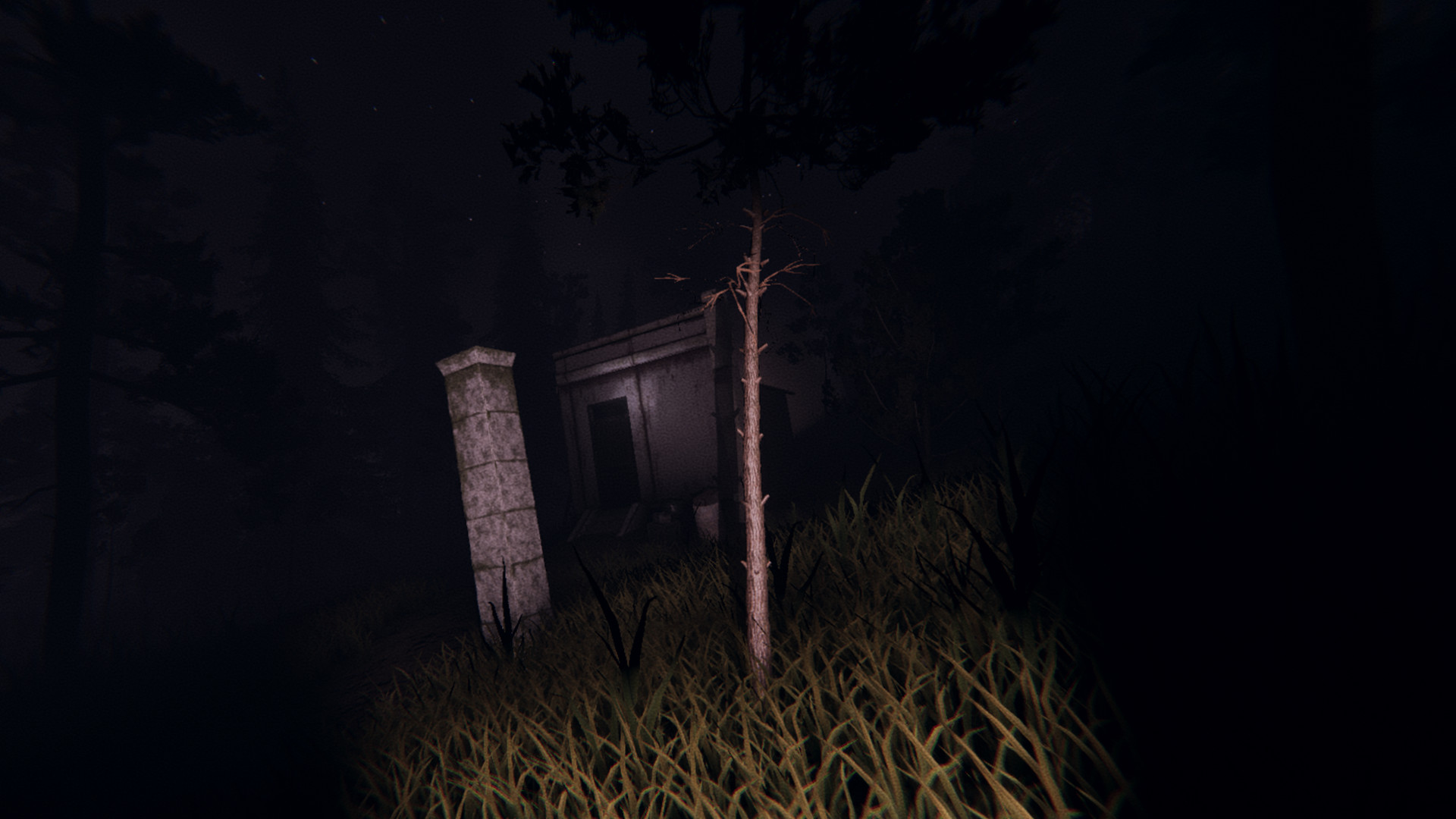 Slender: Dark Woods