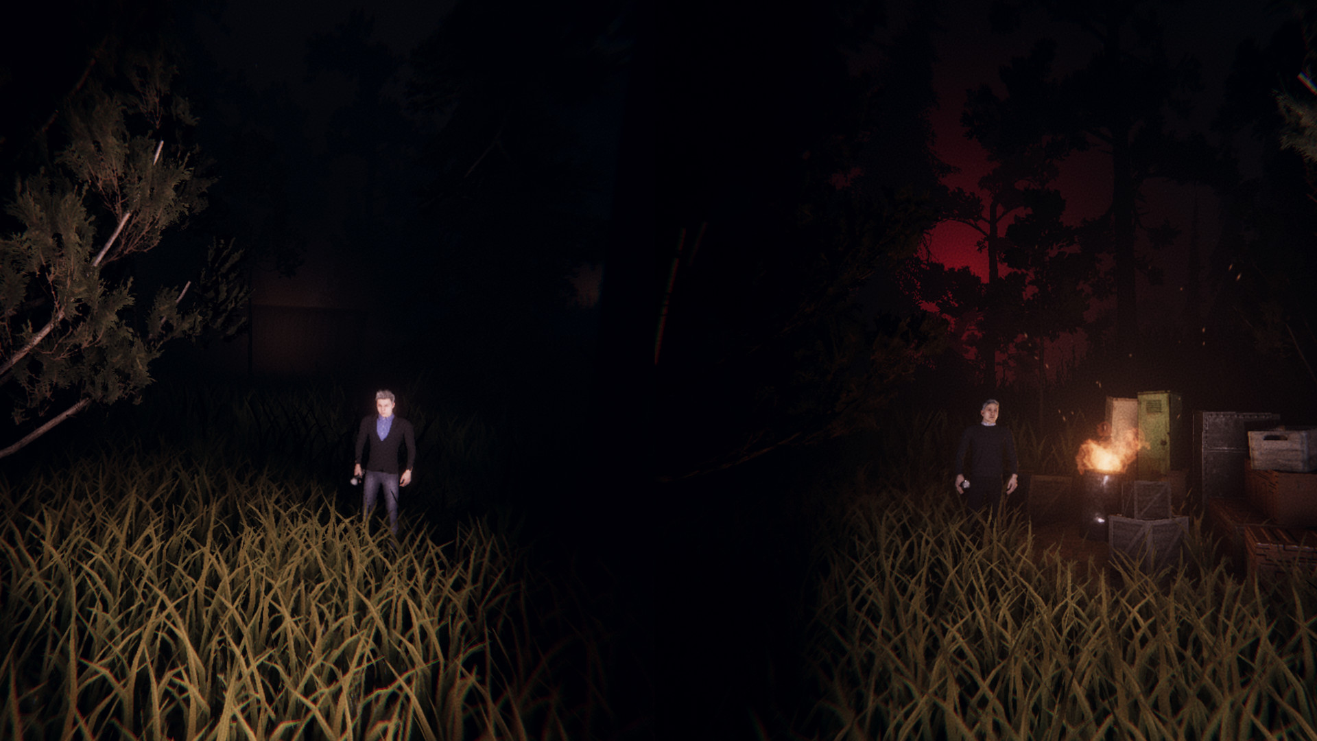 Slender: Dark Woods