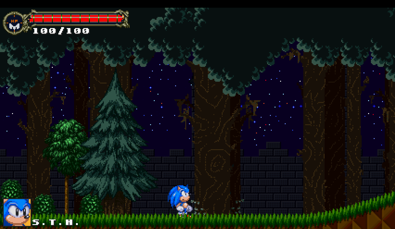 Sonic: The Murdering Insanity