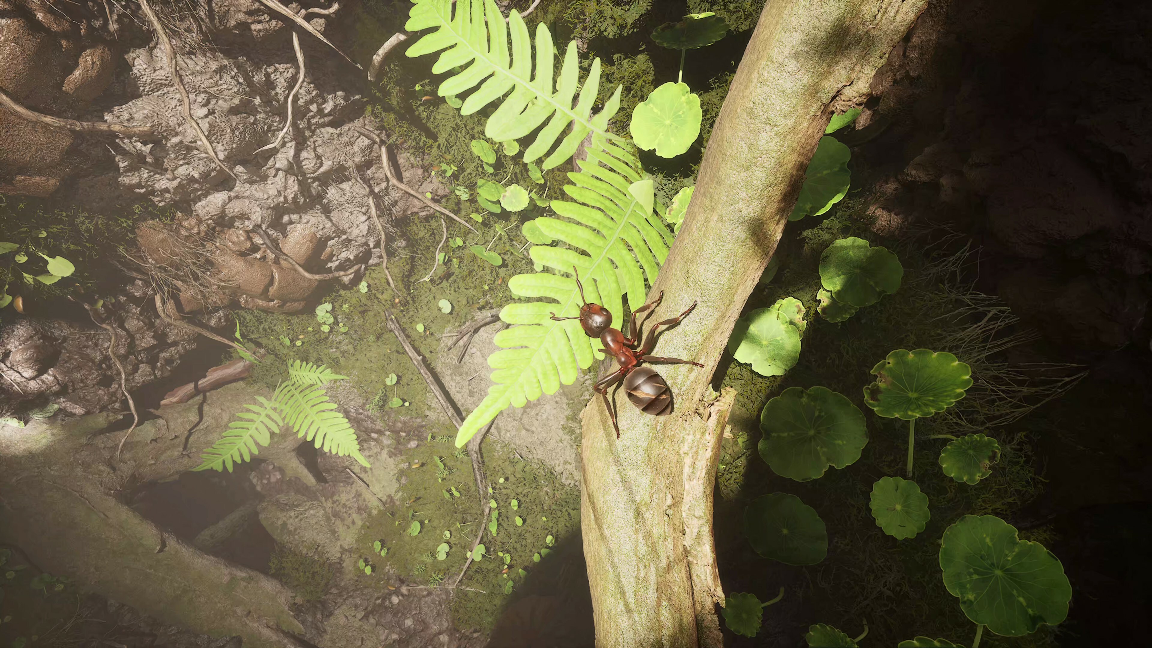 Empire of the Ants: Digital Deluxe Edition