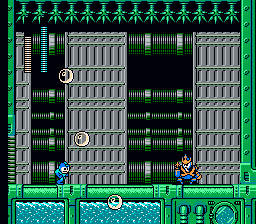 Rockman 5: Double Jumper