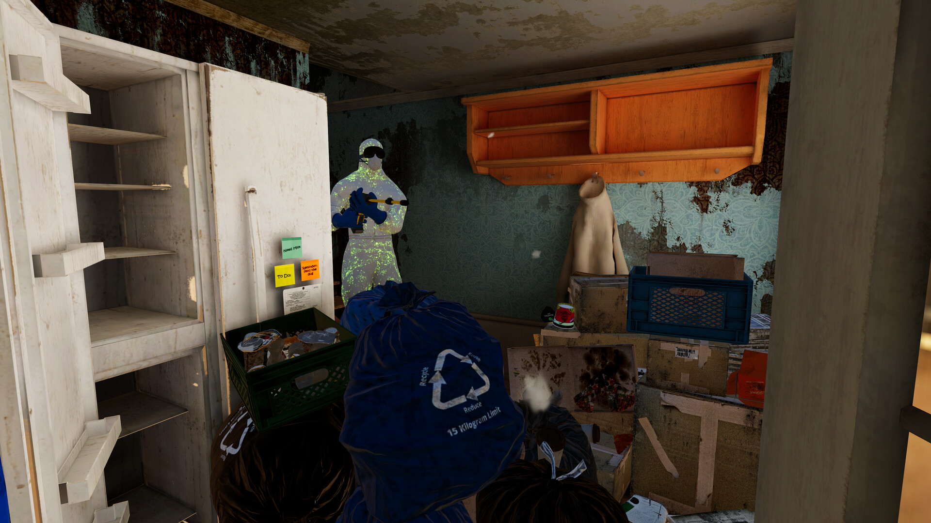 Purrrifiers: Cleaning Chaos