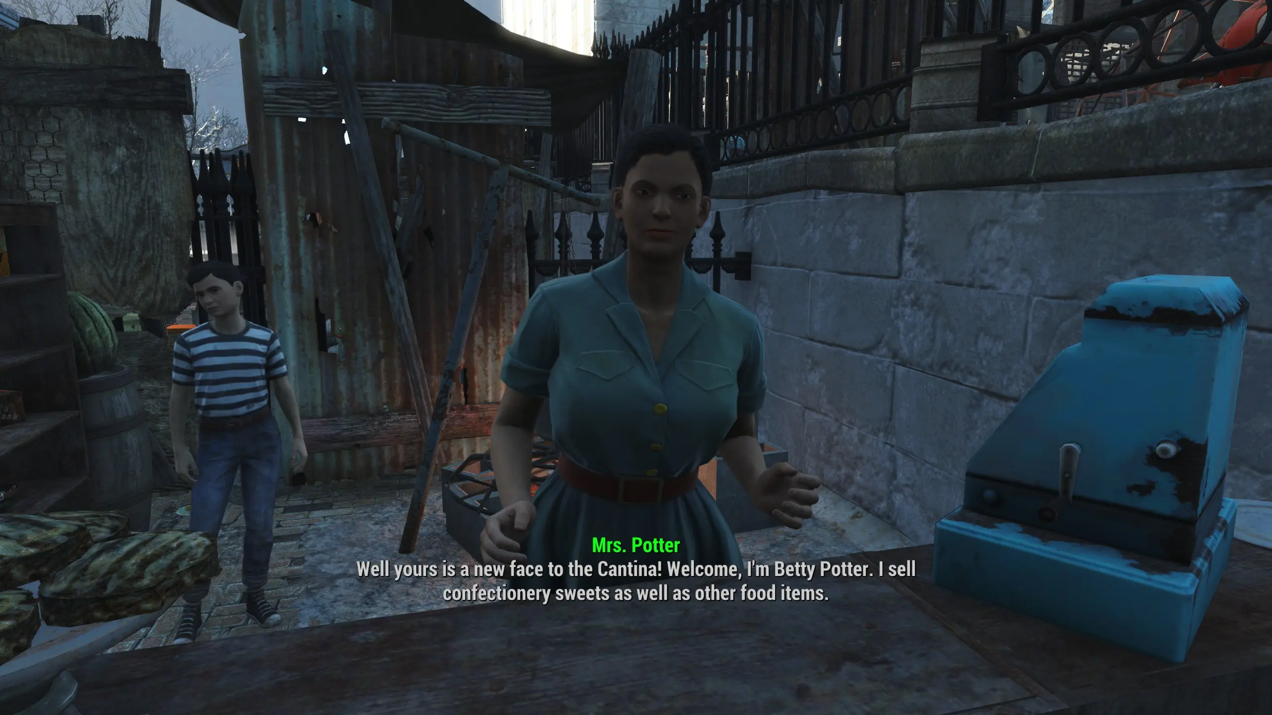 Fallout: Empire Wastes