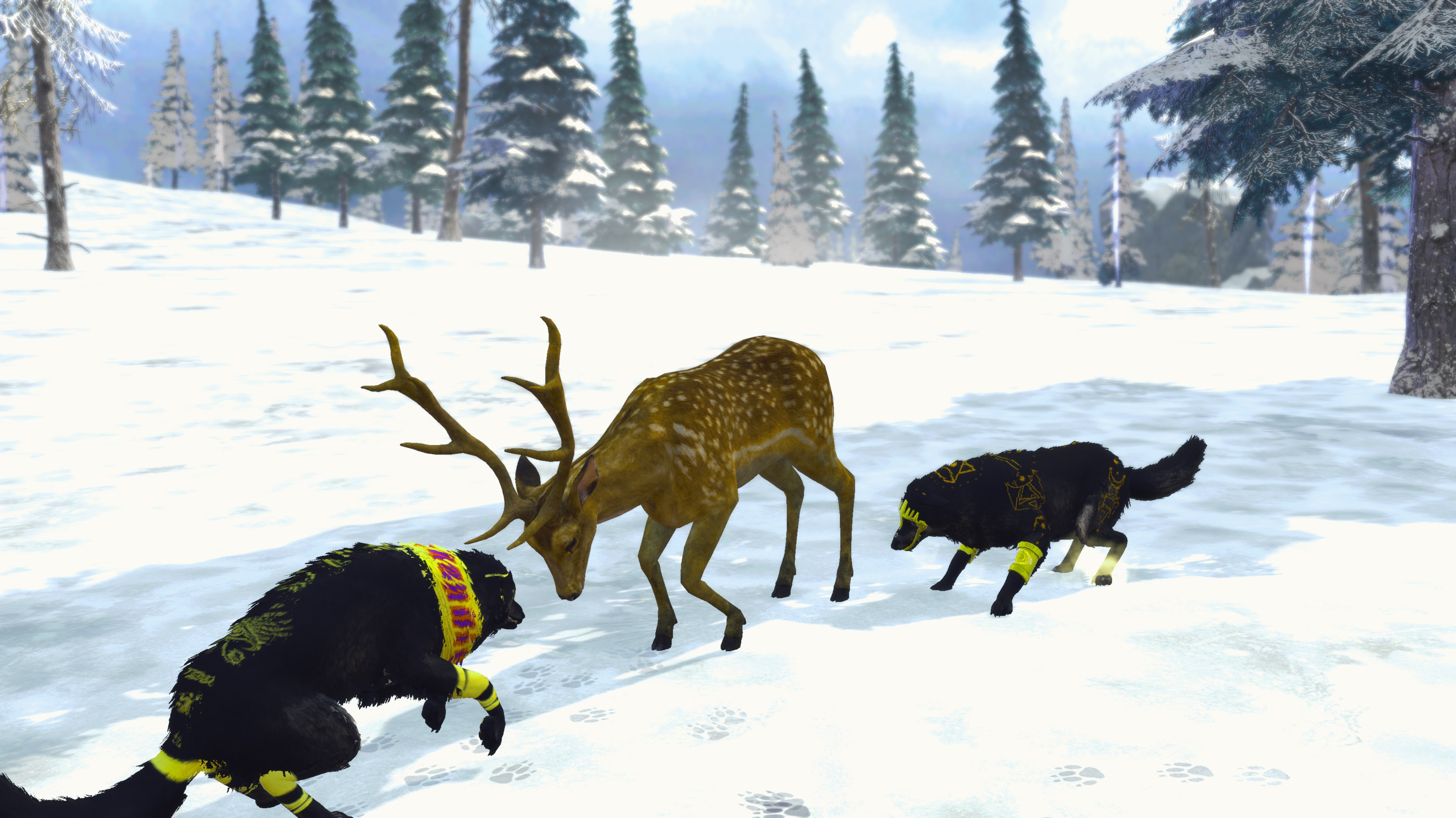 Wolf Sim: Animal Battle Survival RPG