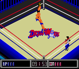 Jesse ‘The Body’ Ventura Wrestling Superstars