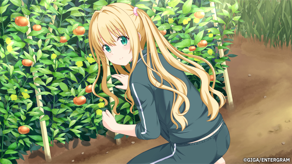 Kono Aozora ni Yakusoku wo: Refine