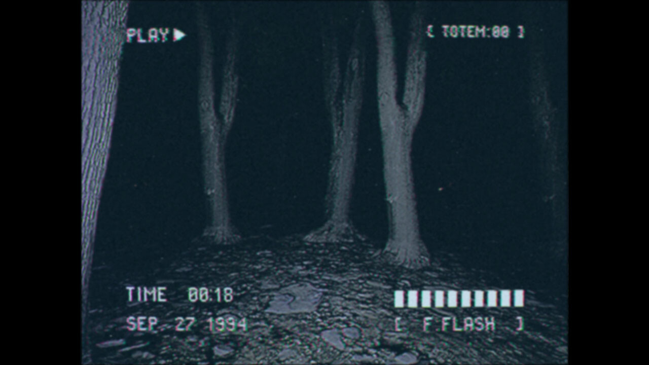 Lost Footage: Sound In The Silence