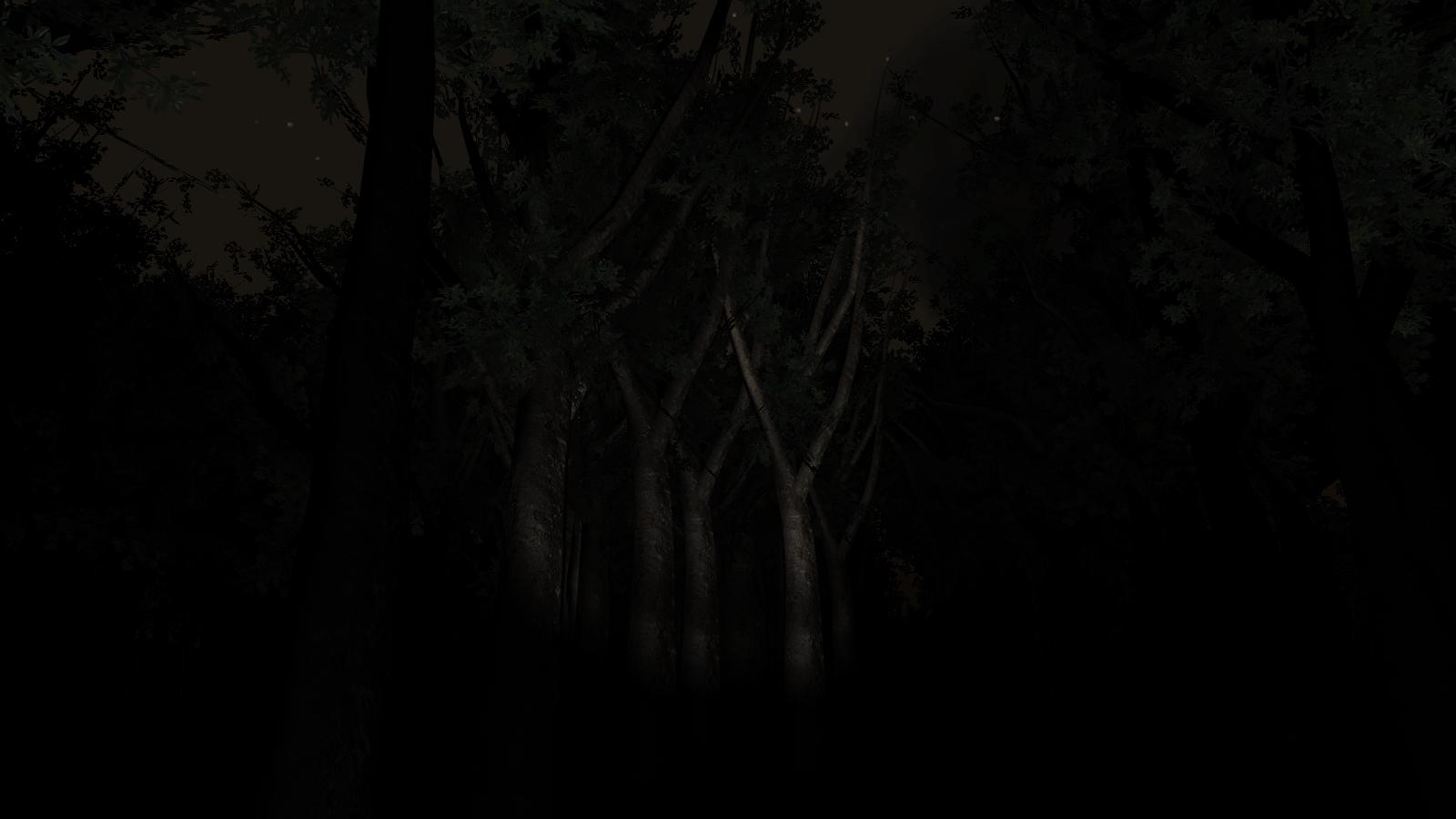 Slender: The Eight Pages