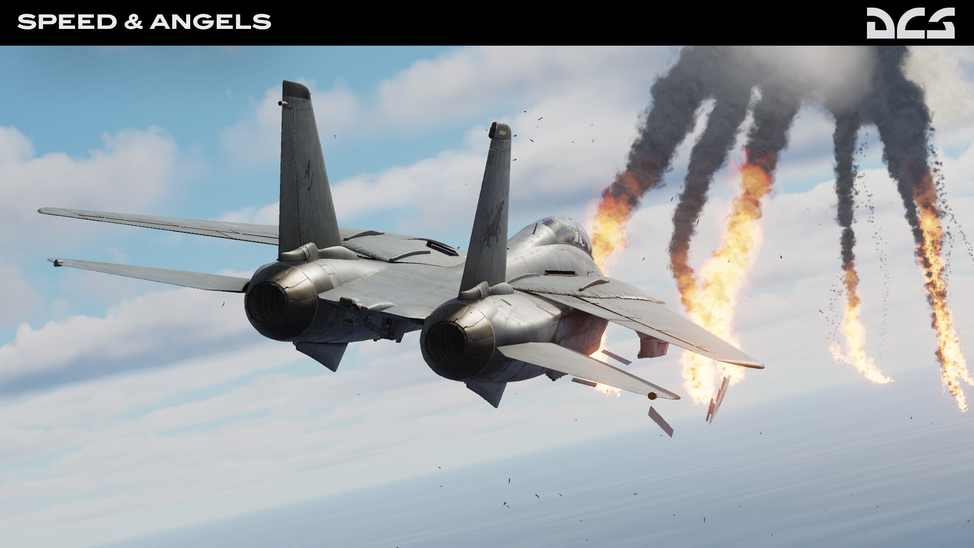 DCS World: F-14 Speed &amp; Angels Campaign by Reflected Simulations