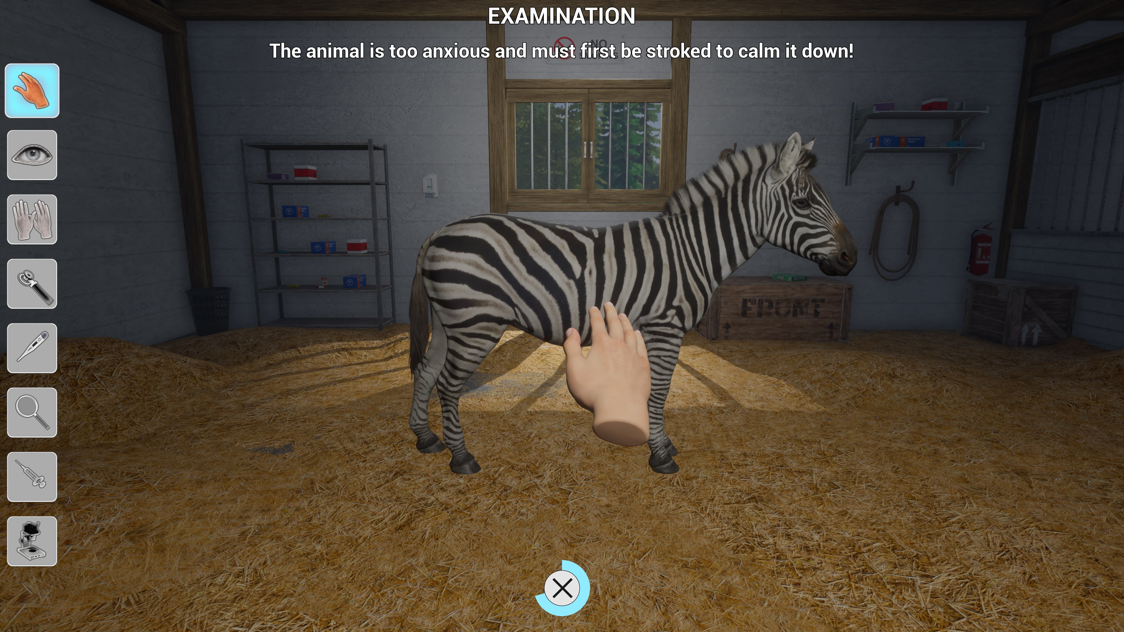 My Life: Zoo Vet
