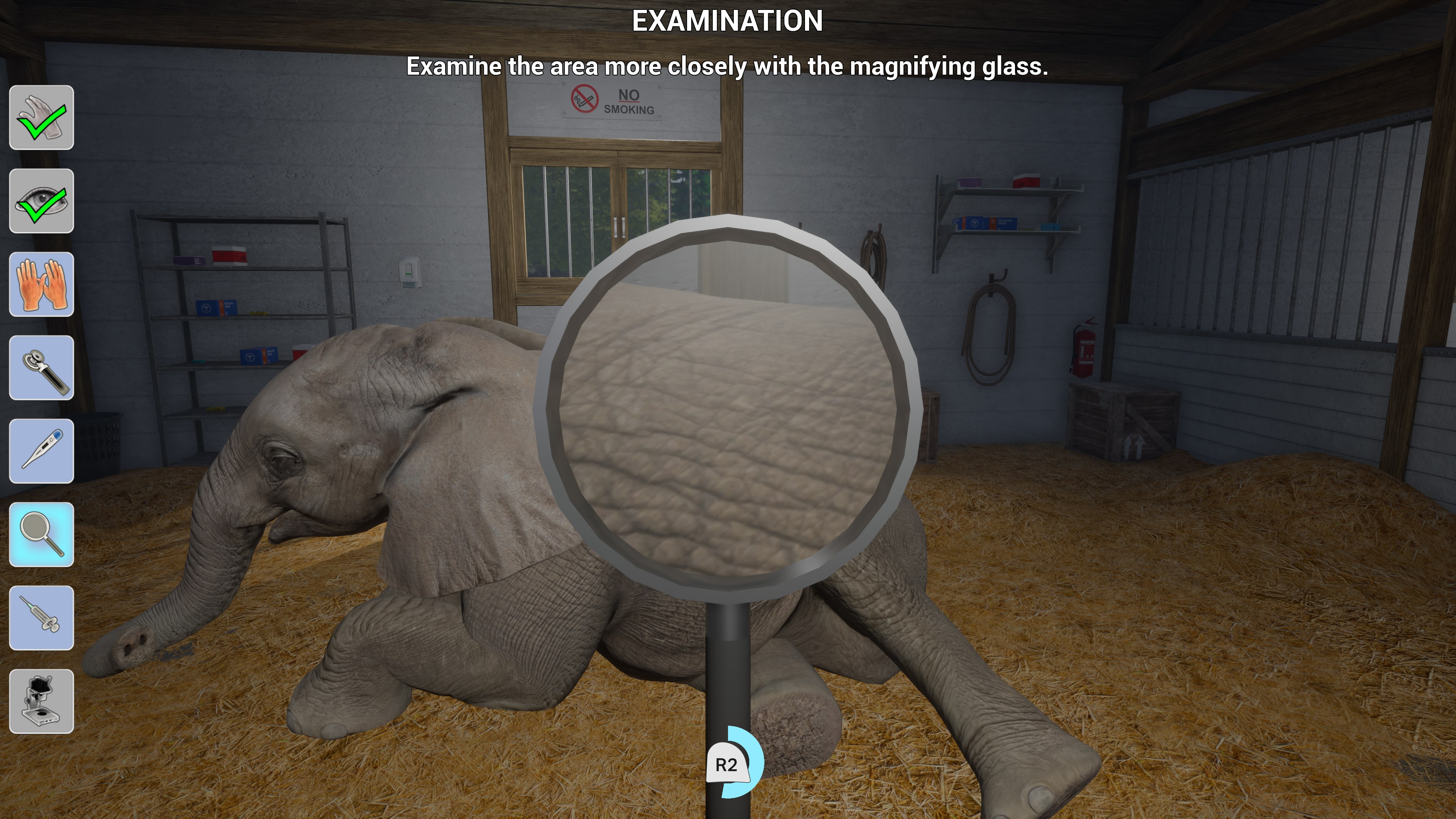 My Life: Zoo Vet