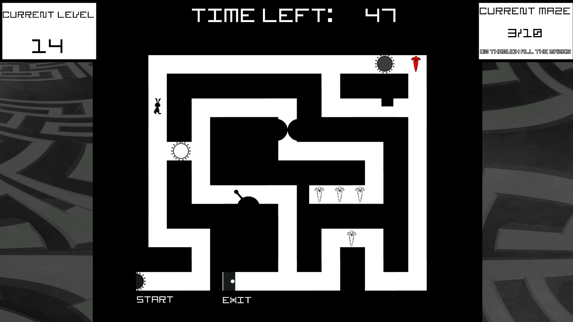 Bunny Mazes