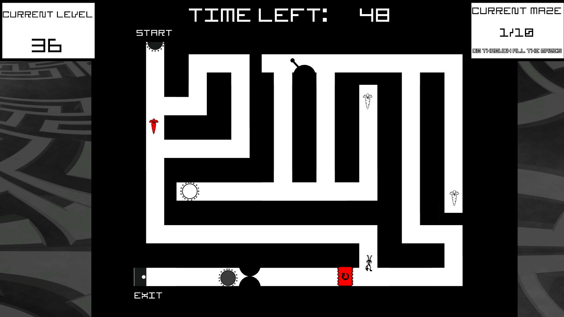Bunny Mazes