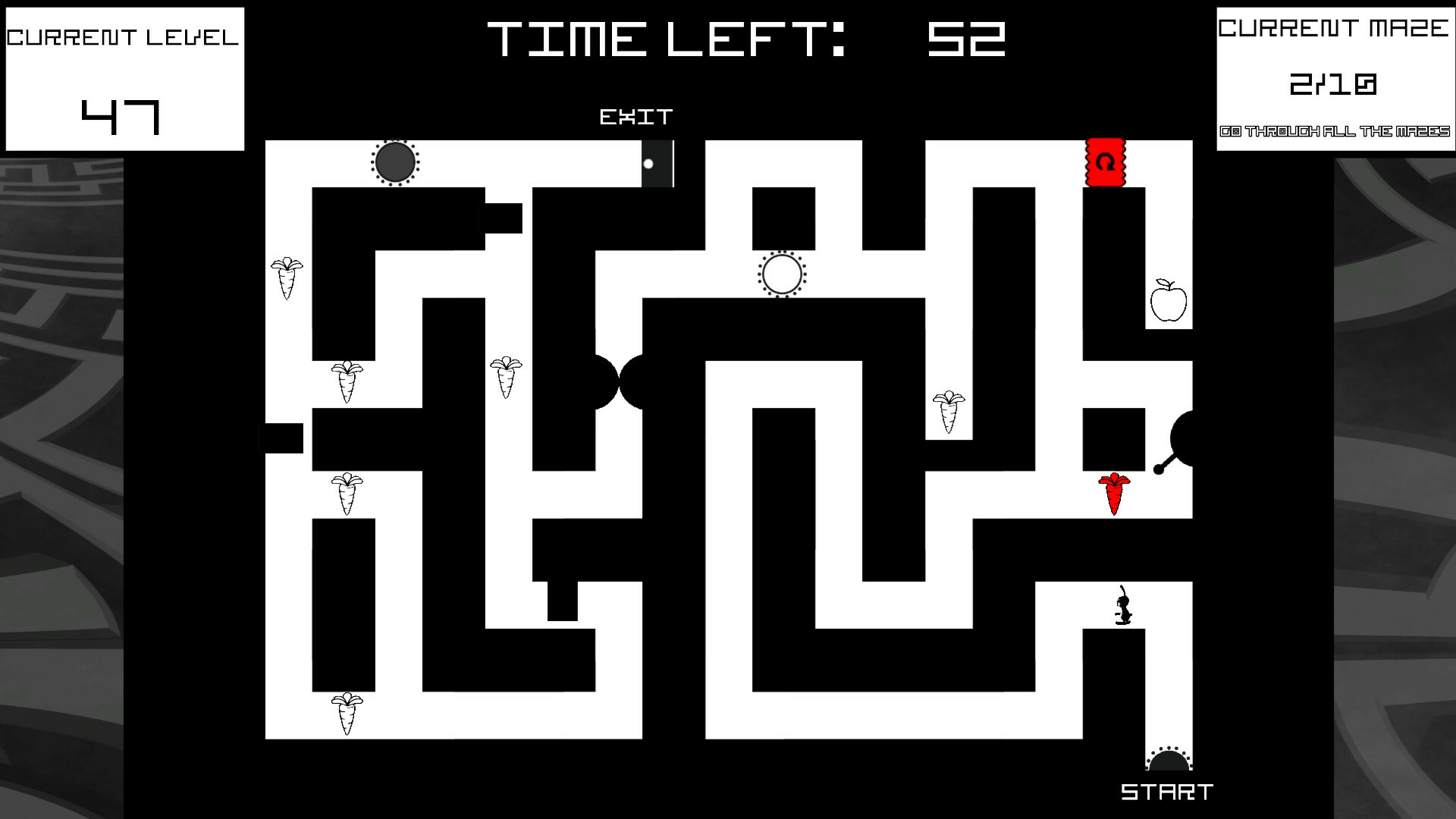 Bunny Mazes