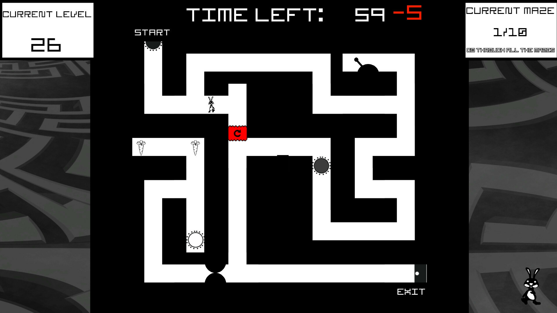 Bunny Mazes