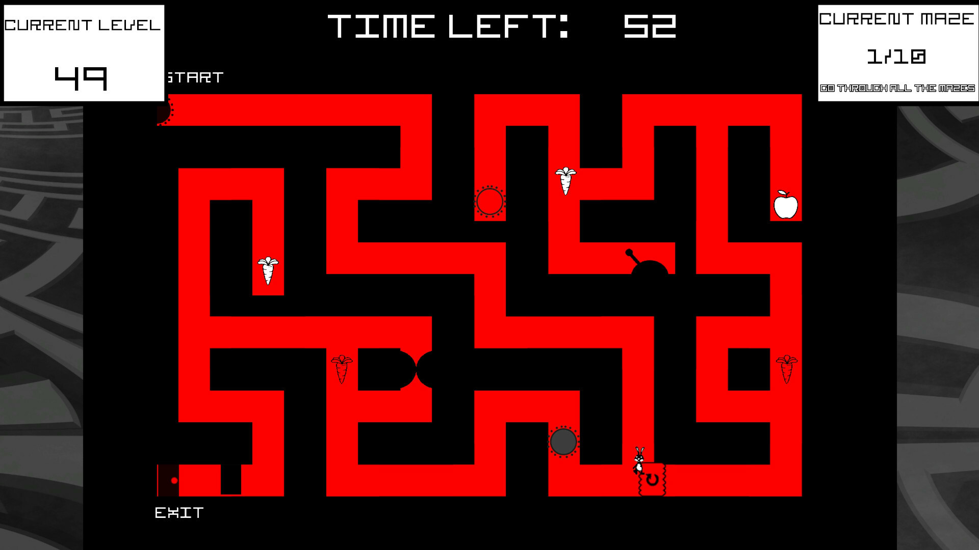 Bunny Mazes