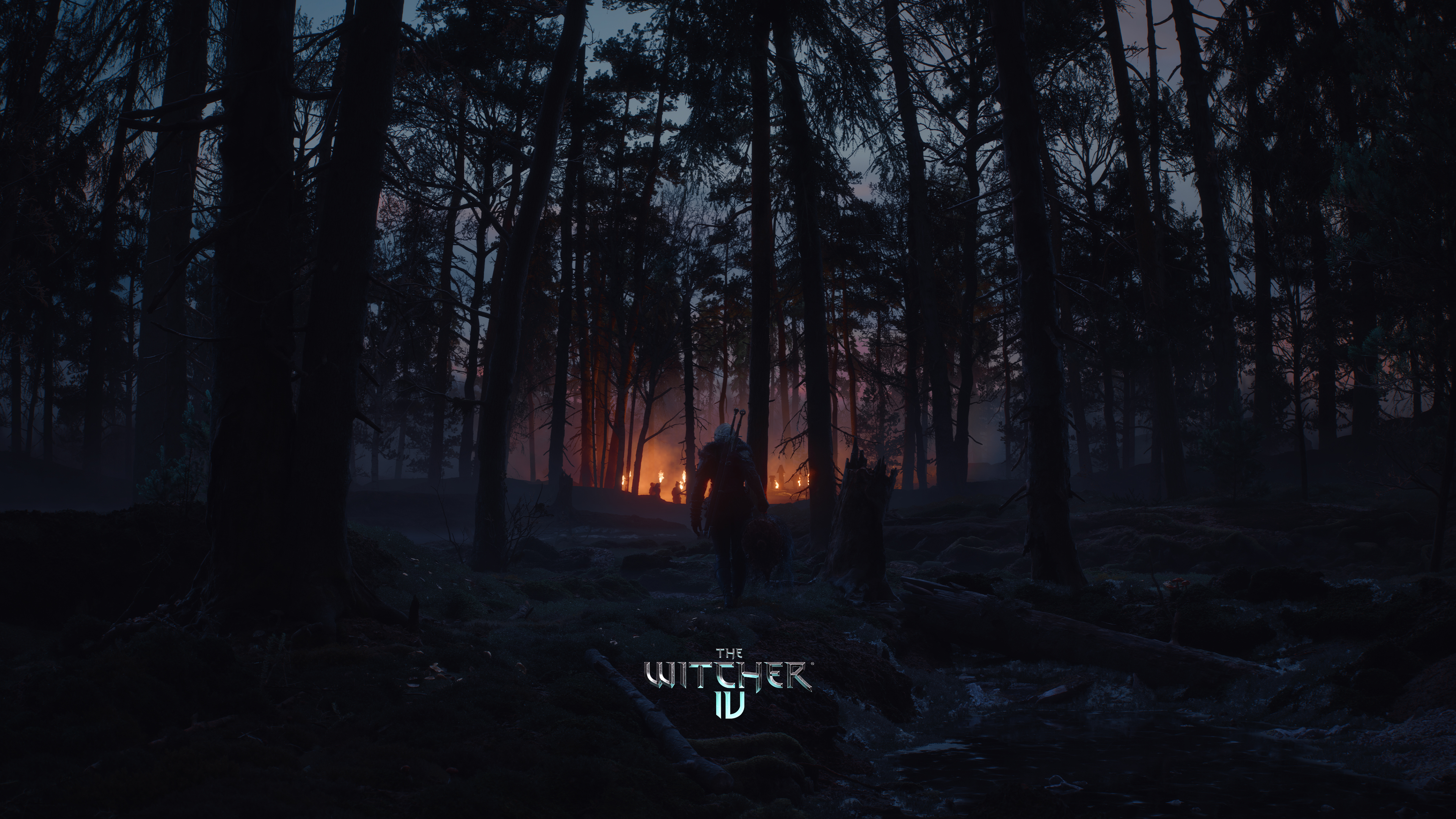 The Witcher IV