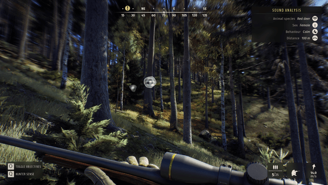 Way of the Hunter: Wild Expeditions