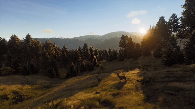 Way of the Hunter: Wild Expeditions