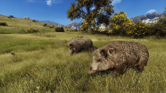 Way of the Hunter: Wild Expeditions