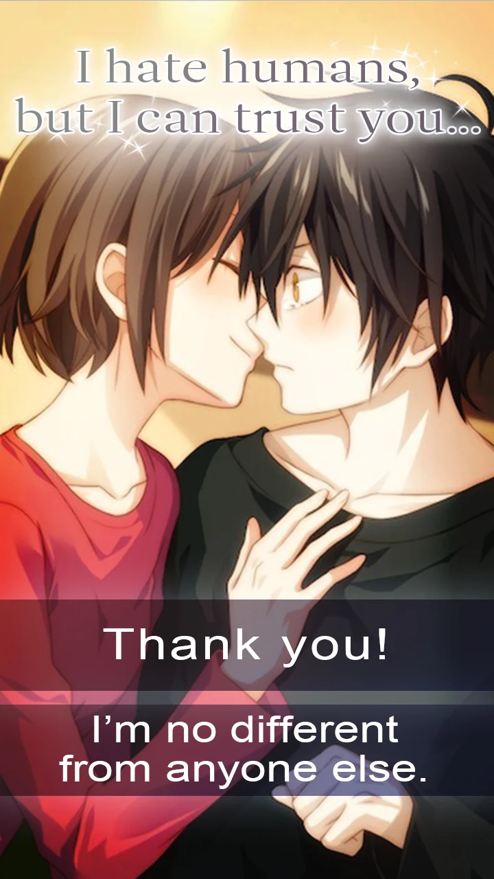 My Lovely Cat: Remastered