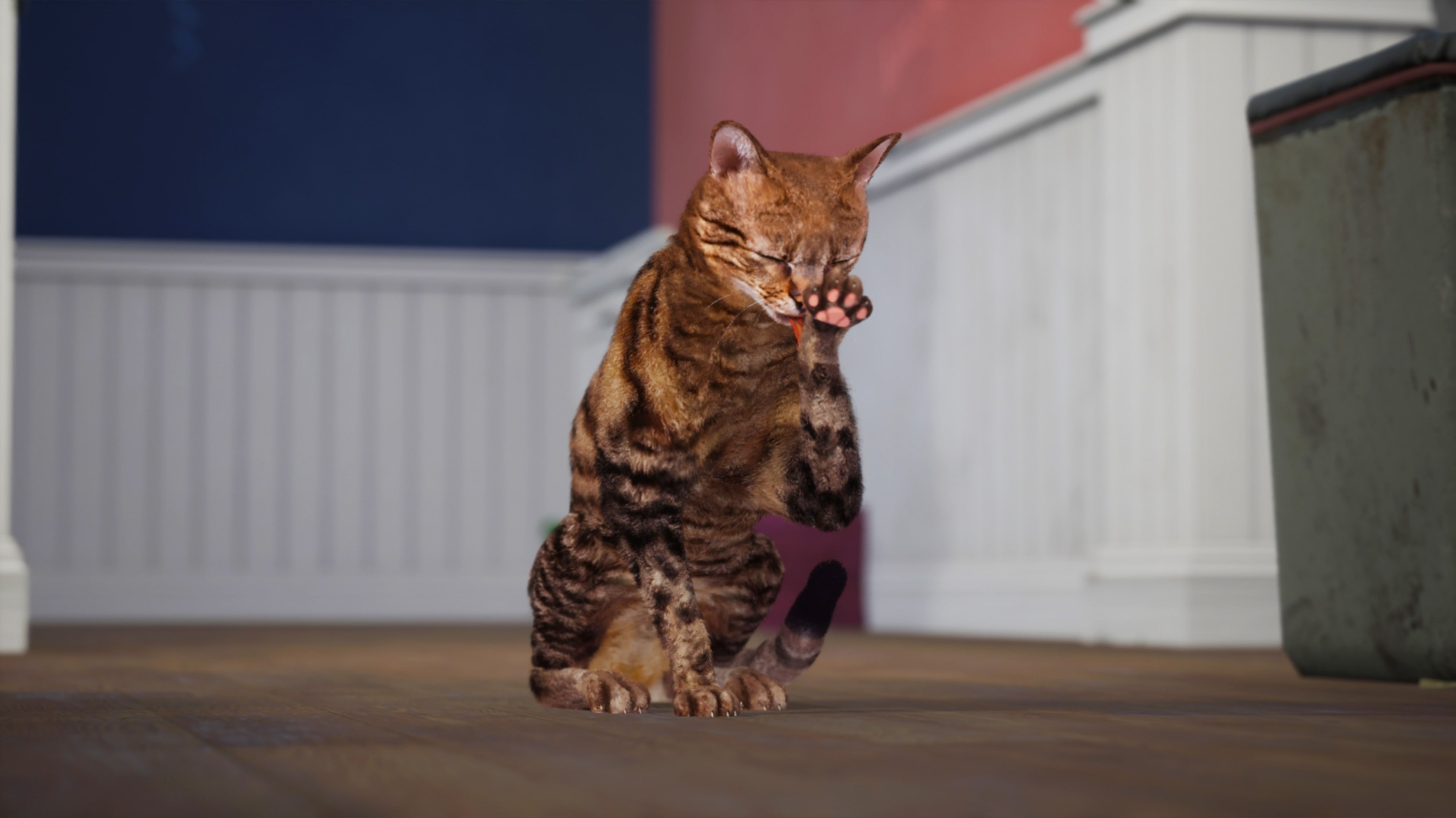 Cat Simulator: Neighbor’s Nightmare