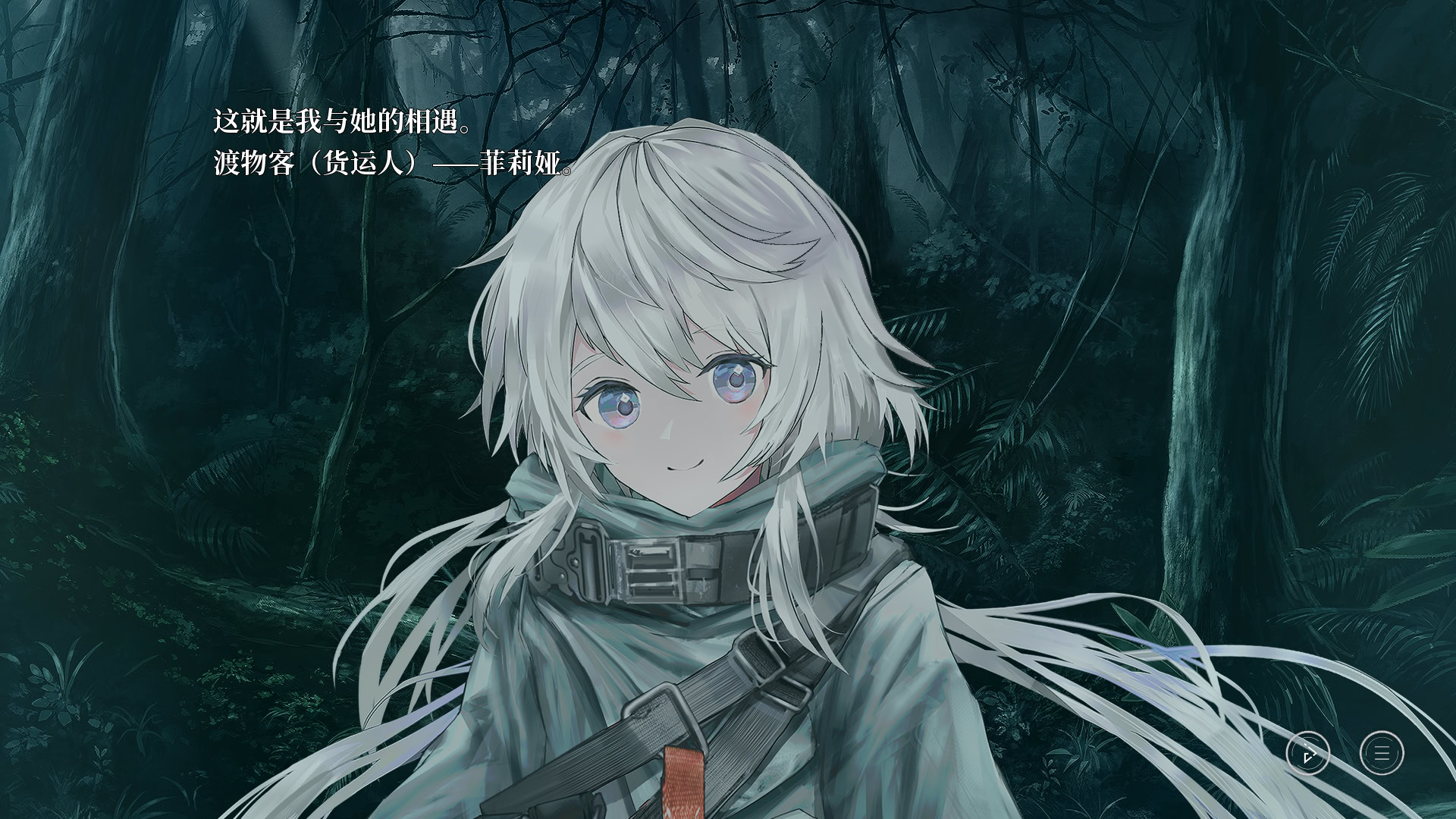 Stella of The End: Diary of a Faint Hope