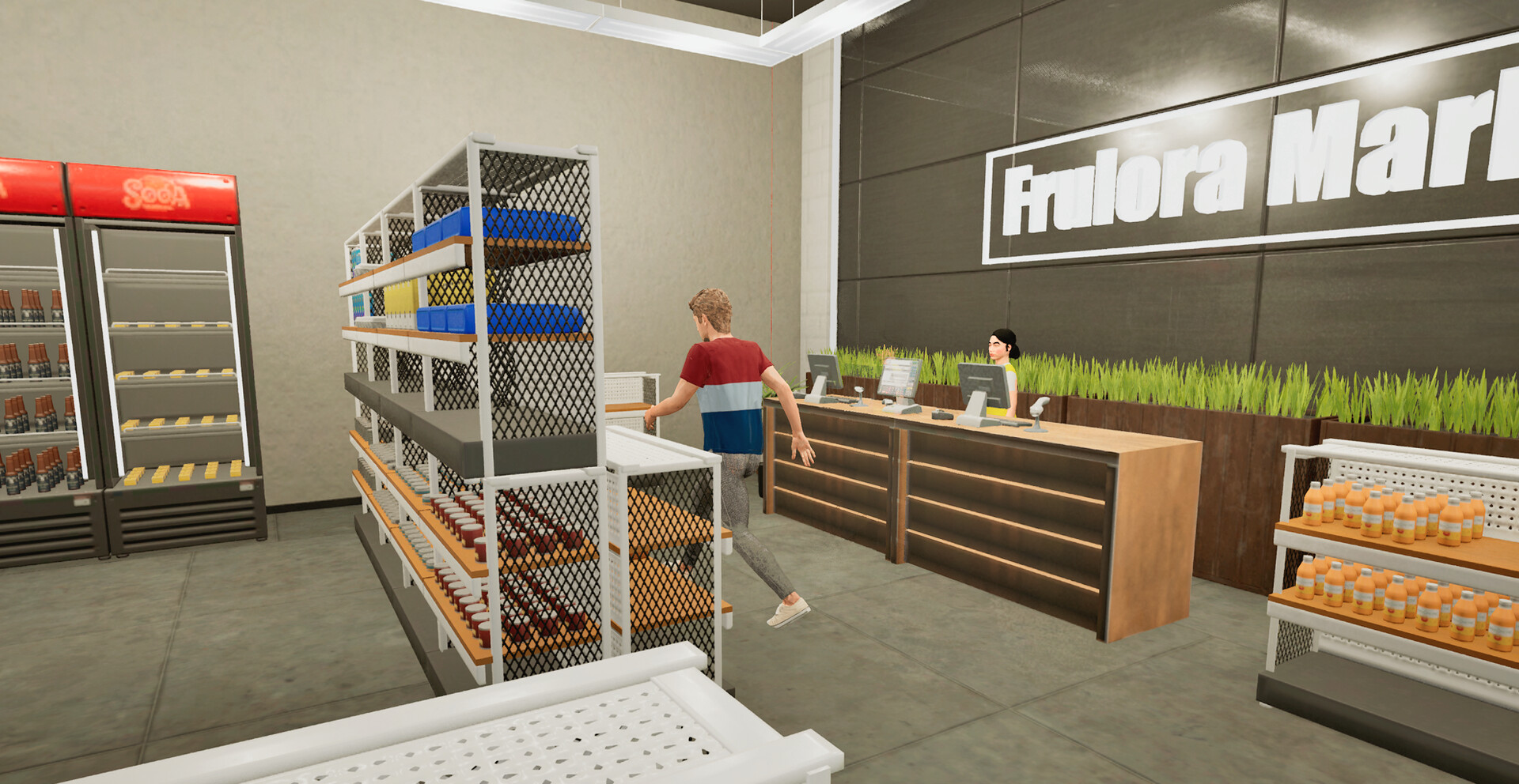 Grand Mall Simulator