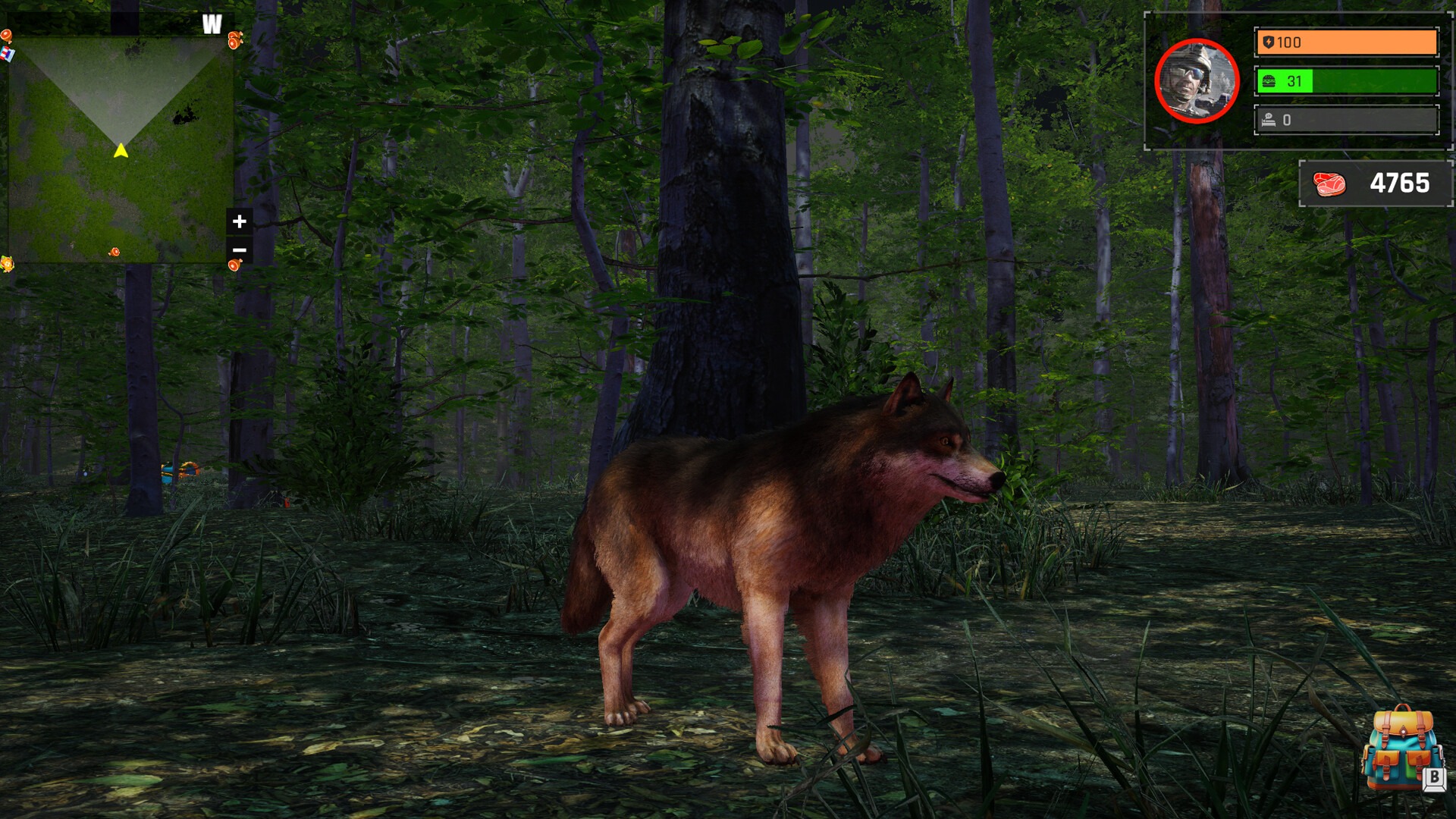 Wolf Simulator: Silent Paws