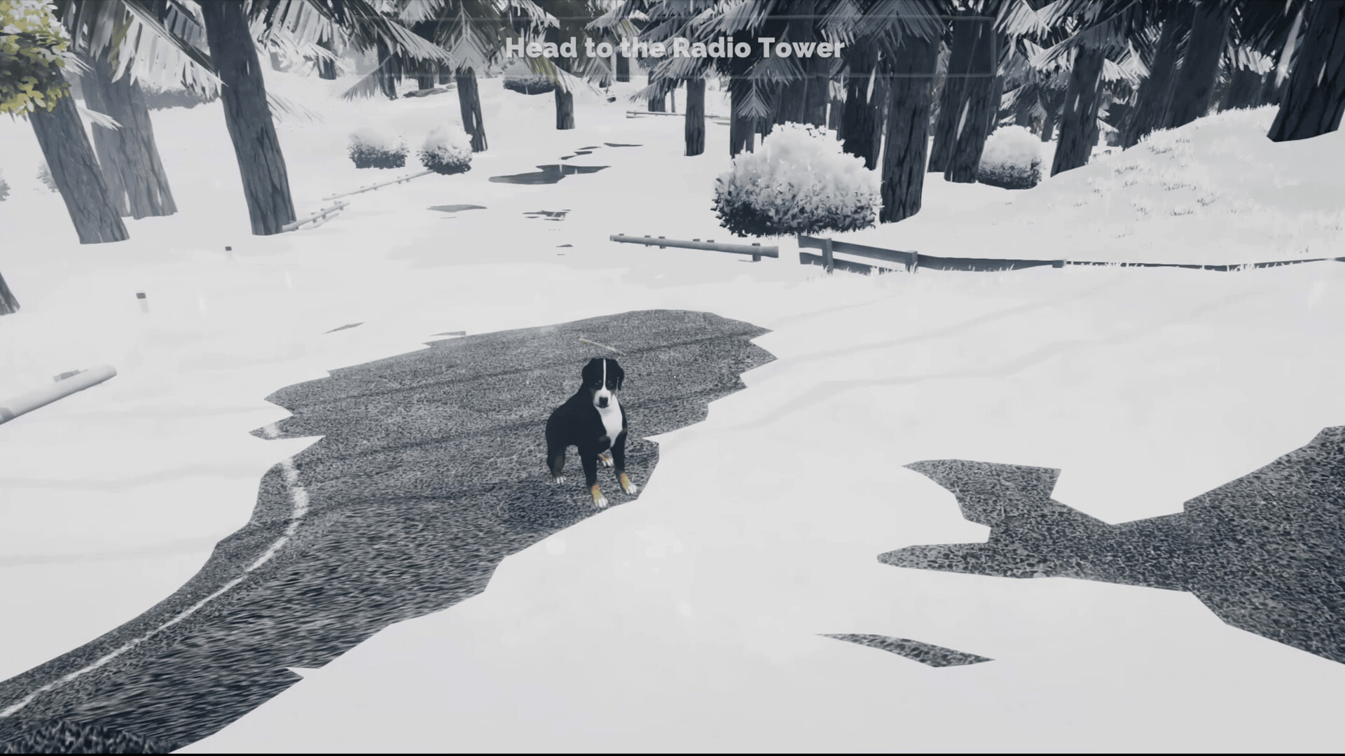 Long Drive North: Co-Op RV Simulator