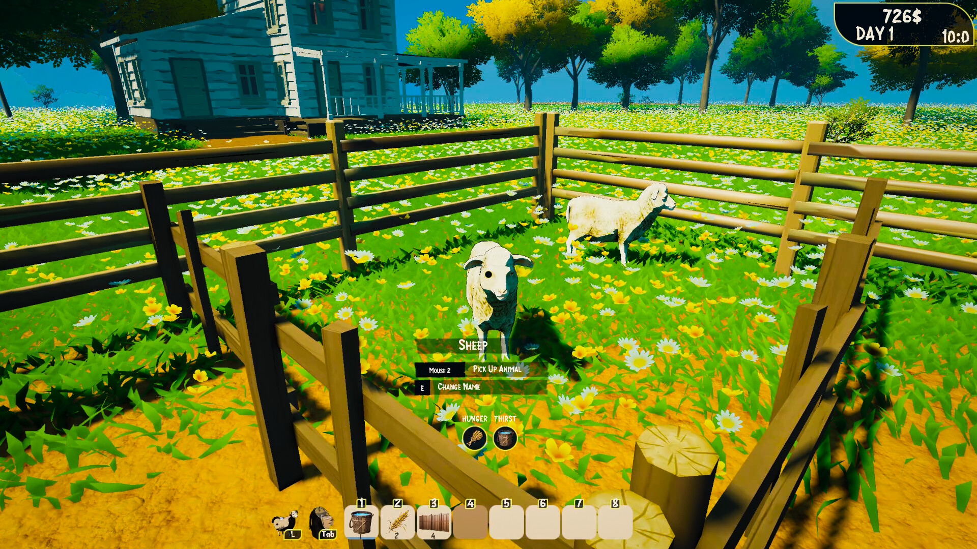 Friendly Sheeps: A Cozy Simulator