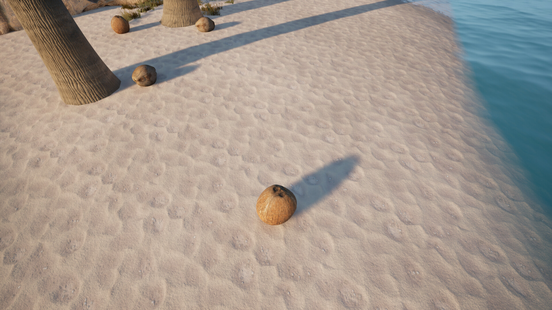 Coconut Simulator