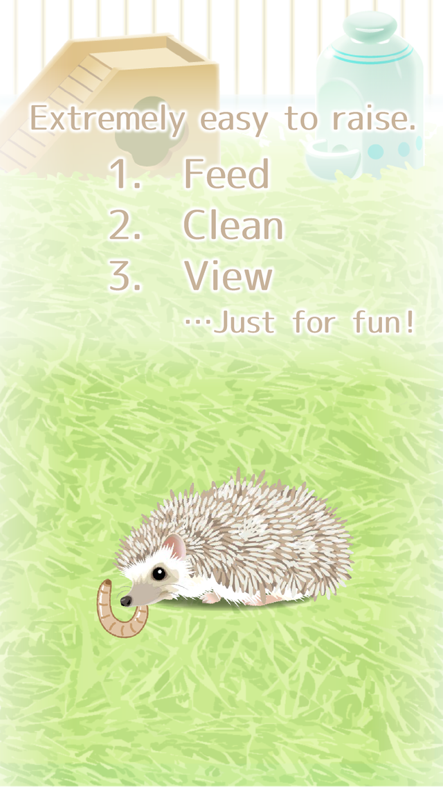 Hedgehog Pet