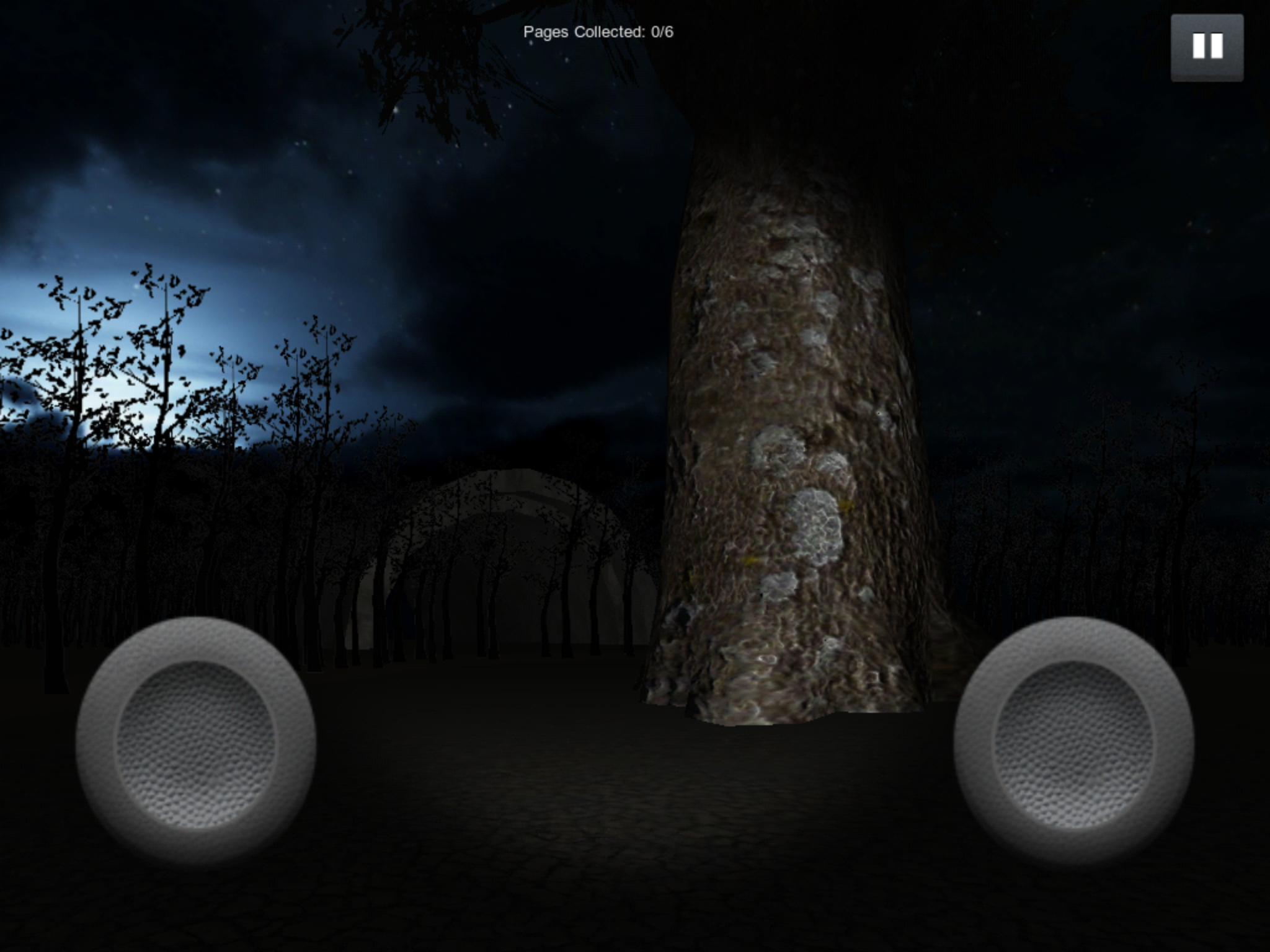 SlenderMan’s Forest