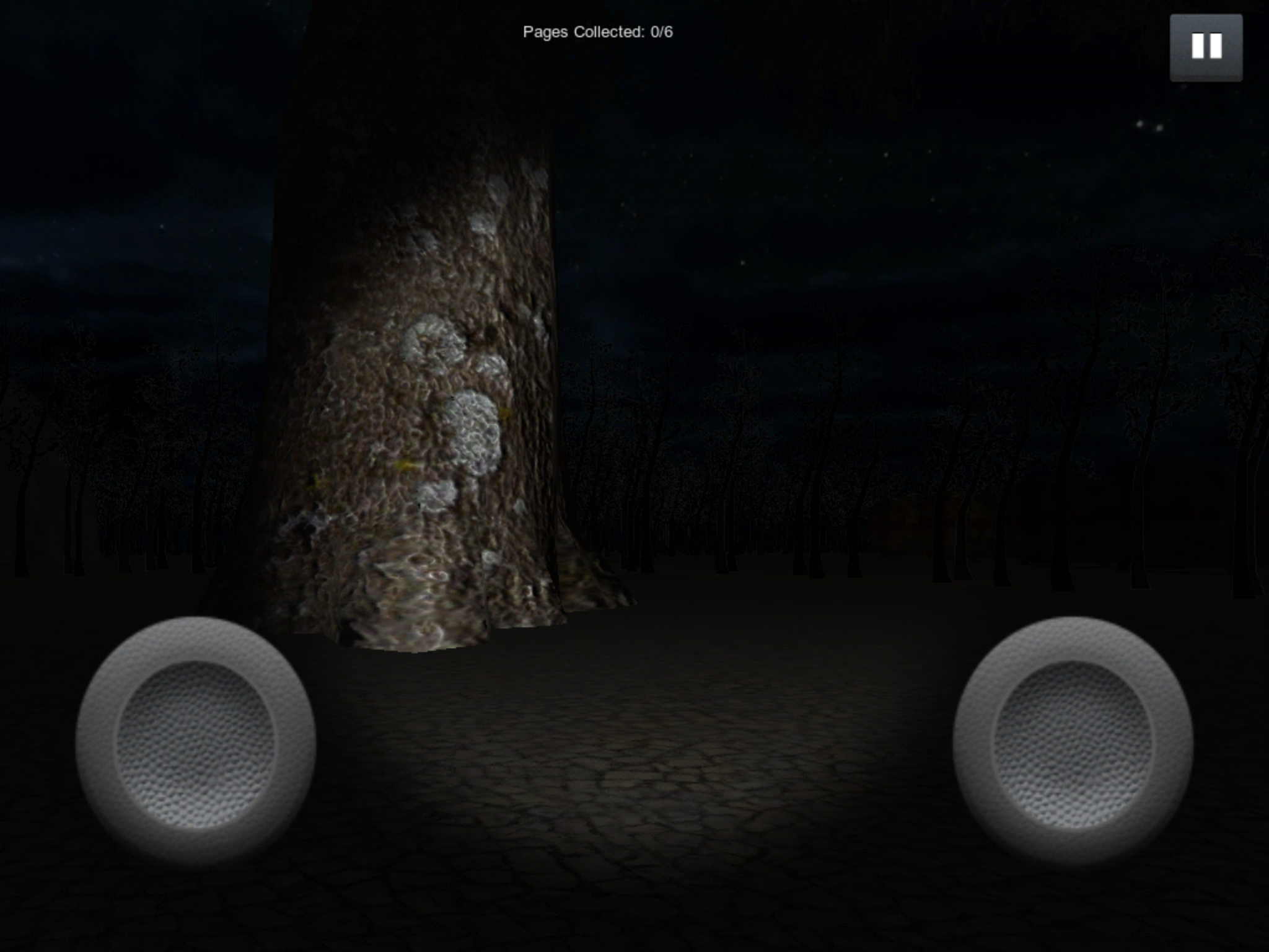 SlenderMan’s Forest