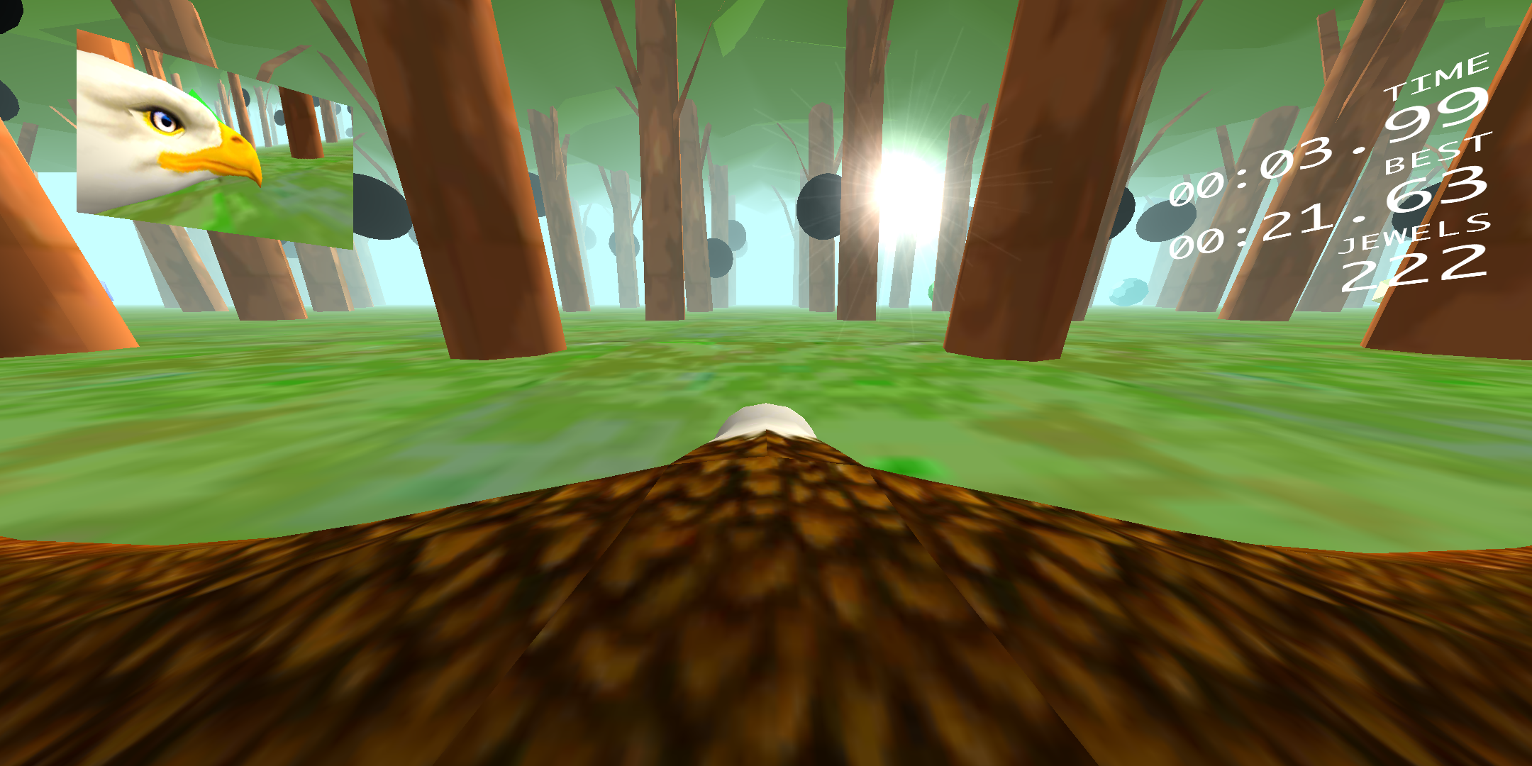 Eagle Ride
