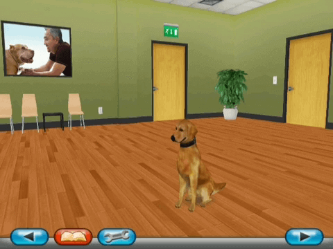 Cesar Millan’s Dog Whisperer