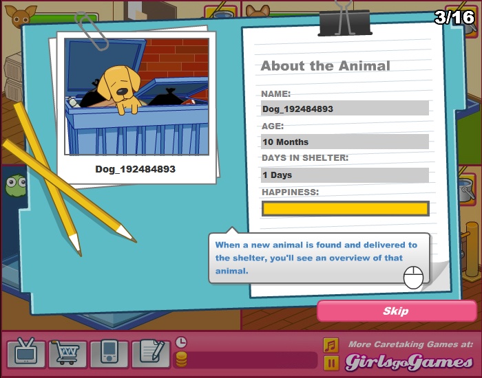 Animal Shelter