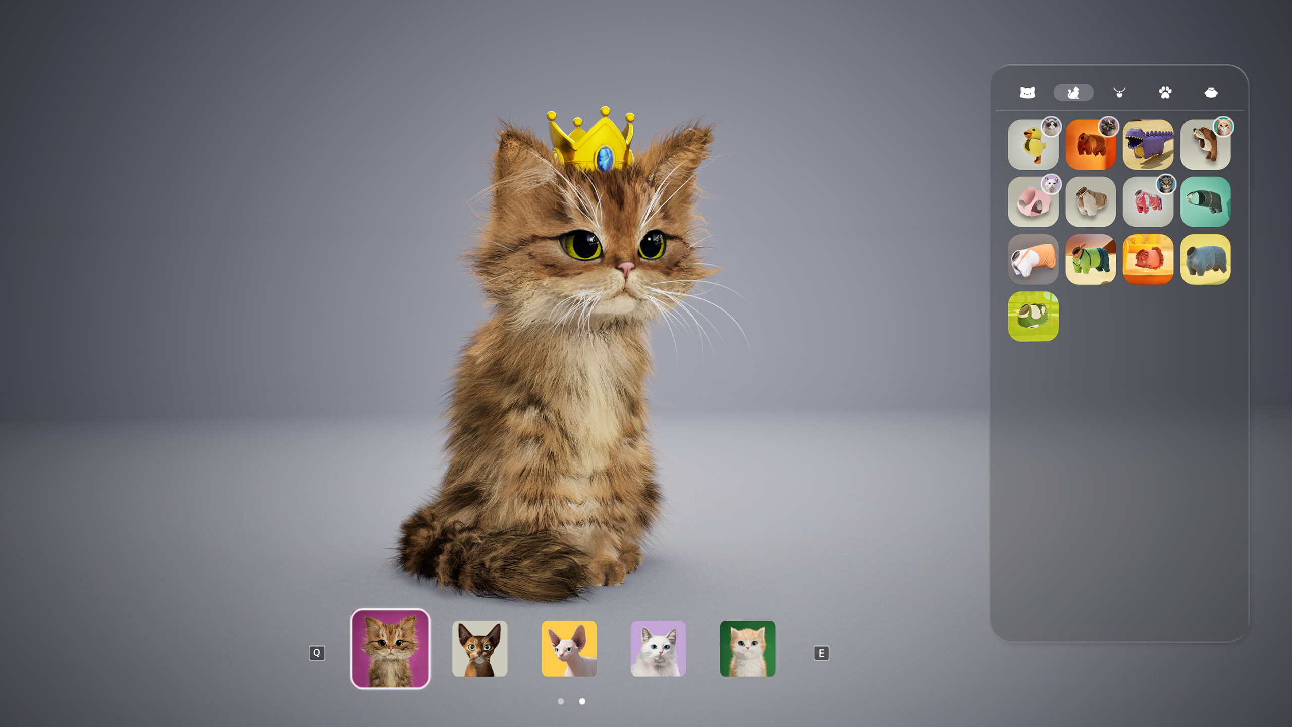 Catly