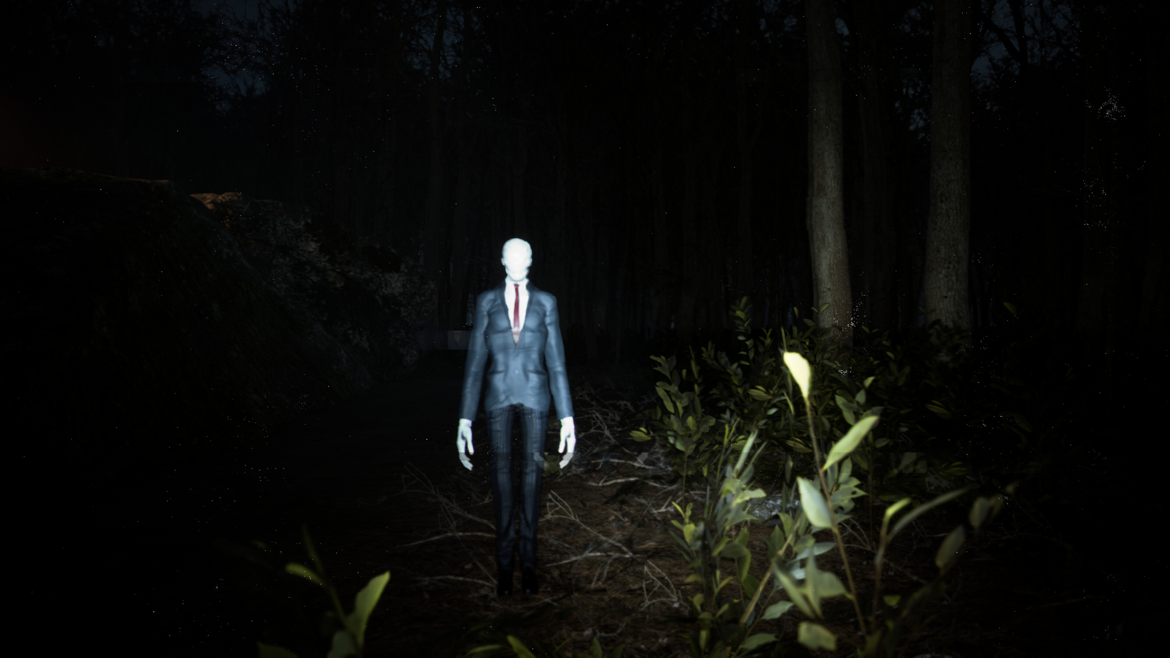 Slender: Reborn