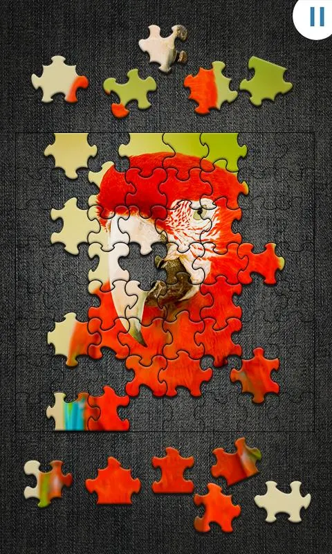 Jigty Jigsaw Puzzles