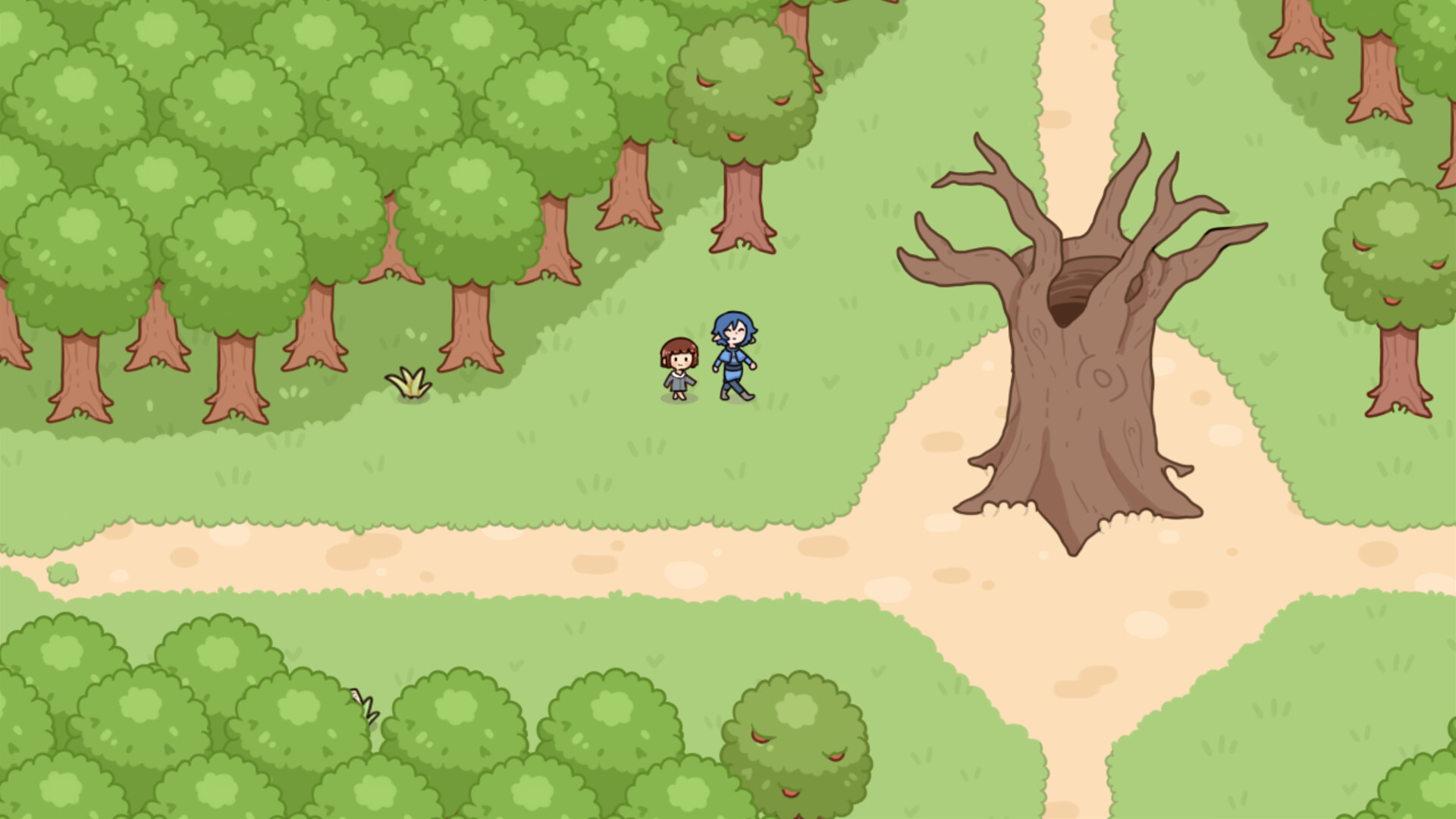 Kota’s New Journey