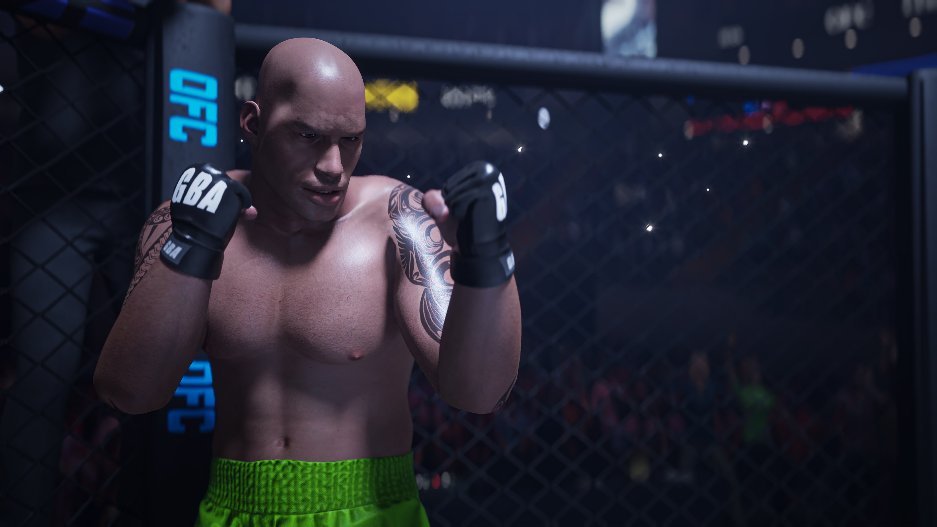 OFC: Ultimate Fighting Club