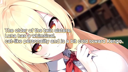 Furry Twins Oshikake Kemomimi Twins