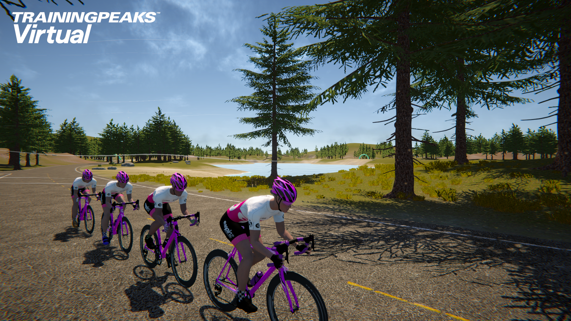 TrainingPeaks Virtual