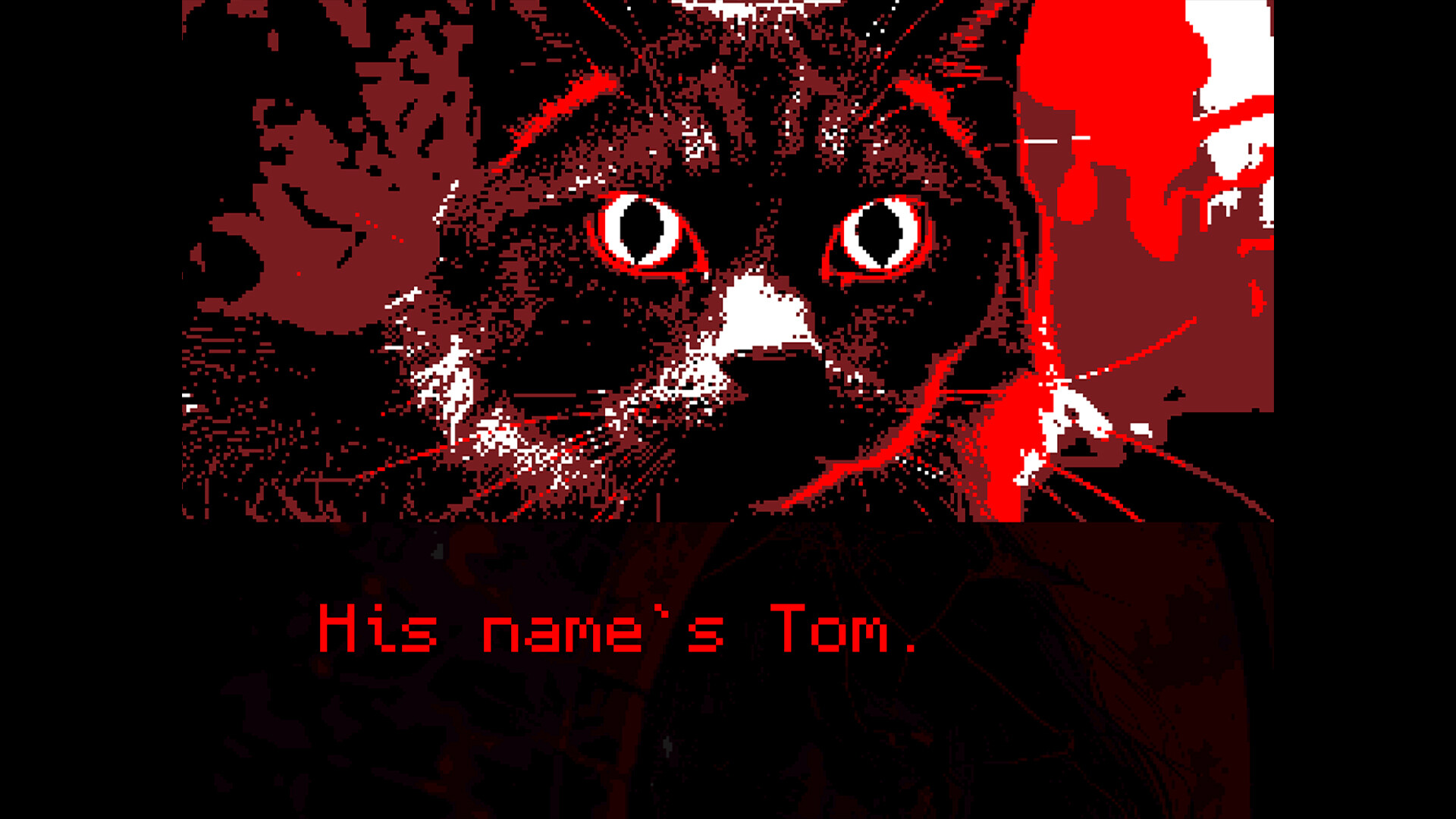 I Am Here, I Won’t Disappear. I Am Here, I Won’t…