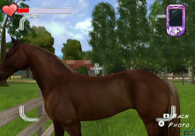 Horse Life Adventures
