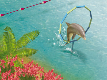 My Animal Centre in Australia